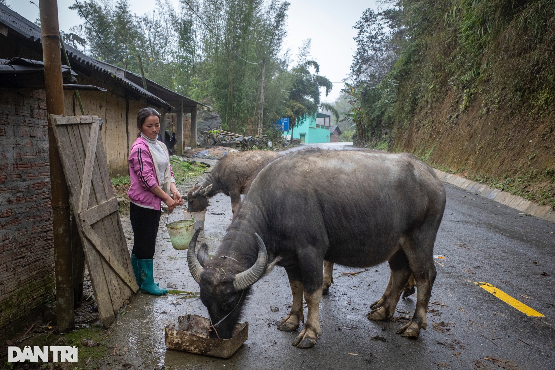 Sinh hoạt trong thời tiết khắc nghiệt -3 độ C ở ngôi làng trên mây-8
