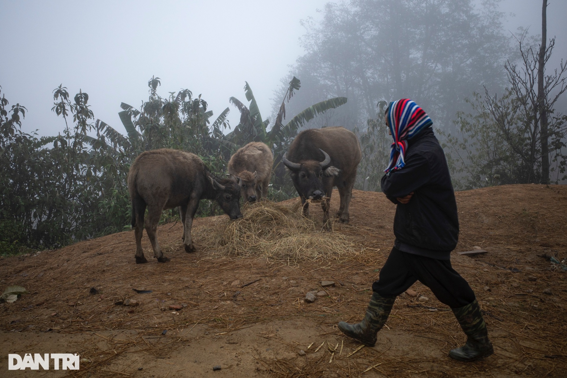 Sinh hoạt trong thời tiết khắc nghiệt -3 độ C ở ngôi làng trên mây-9