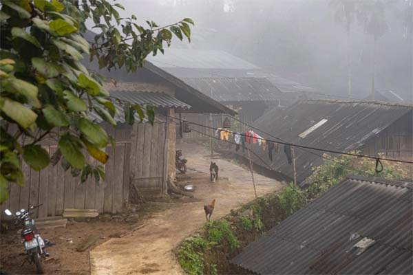 Chuyên gia khí tượng dự báo thời điểm kết thúc đợt rét hại diện rộng ở miền Bắc-2