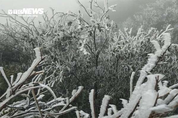 Công an xác minh vụ bị phạt 50 triệu đồng vì gửi ảnh bữa cơm cho phụ huynh-2