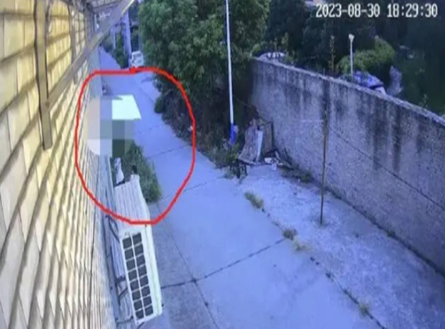 Vụ án kinh hoàng đằng sau bức ảnh anh dắt em: Nếu không được giáo dục tử tế, đứa trẻ thiên thần cũng hóa ác quỷ-2