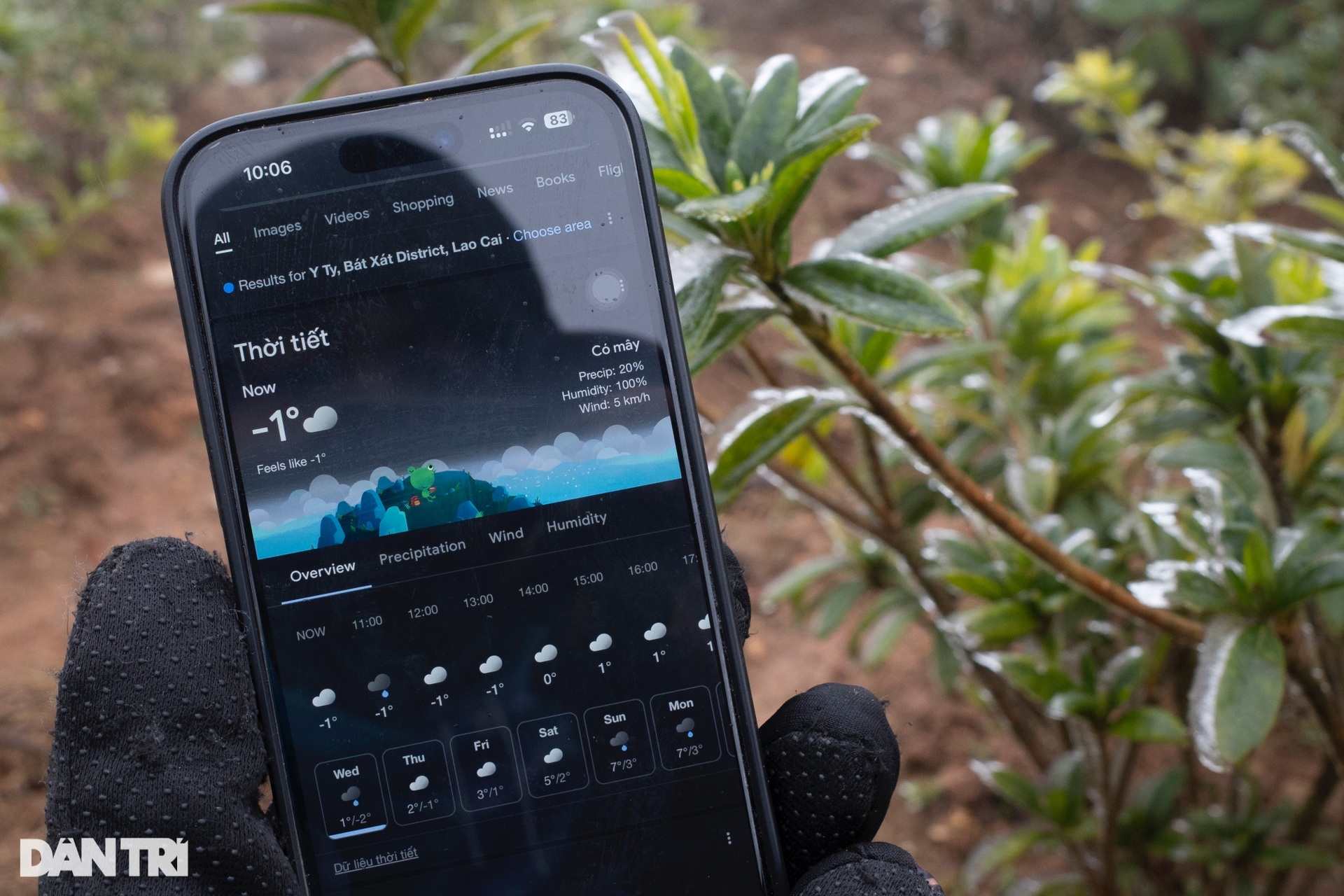 Hình ảnh băng giá phủ trắng núi đồi Y Tý-1