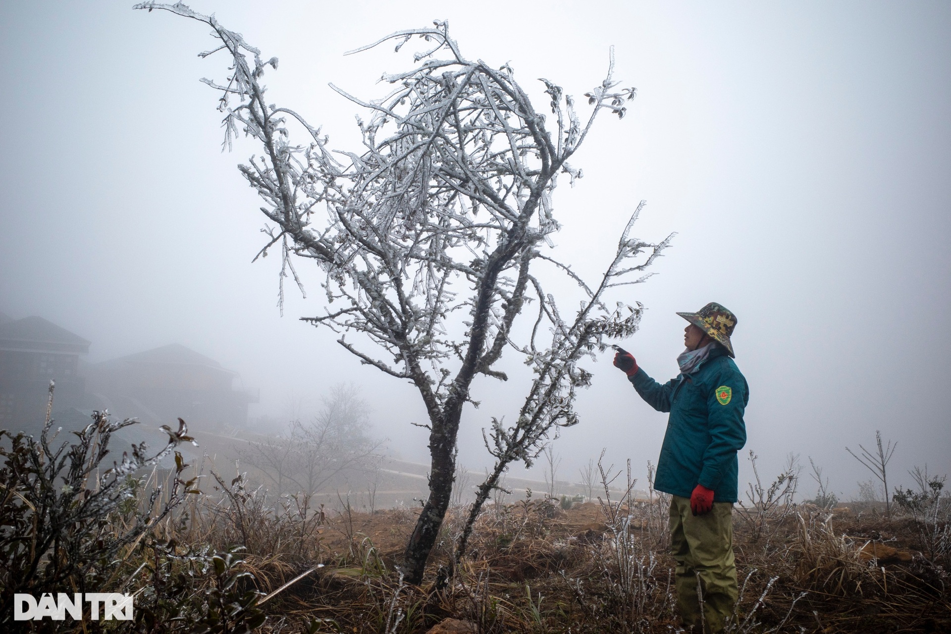 Hình ảnh băng giá phủ trắng núi đồi Y Tý-11