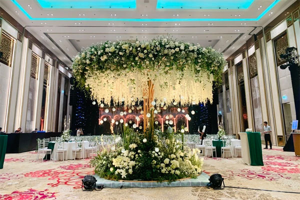 Thấy gì từ việc giới siêu giàu Ấn Độ đến Việt Nam tổ chức đám cưới?-2