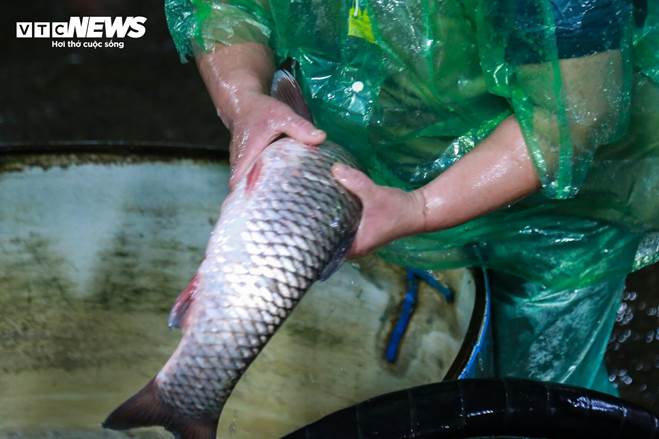 Những bàn tay khiêng đá, bắt cá mưu sinh trong giá rét 9 độ C ở Hà Nội-7