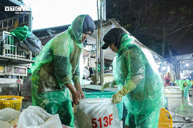 Những bàn tay khiêng đá, bắt cá mưu sinh trong giá rét 9 độ C ở Hà Nội-12