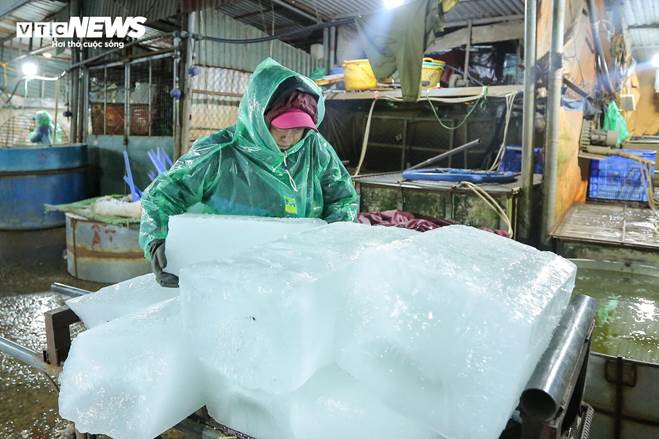 Những bàn tay khiêng đá, bắt cá mưu sinh trong giá rét 9 độ C ở Hà Nội-16