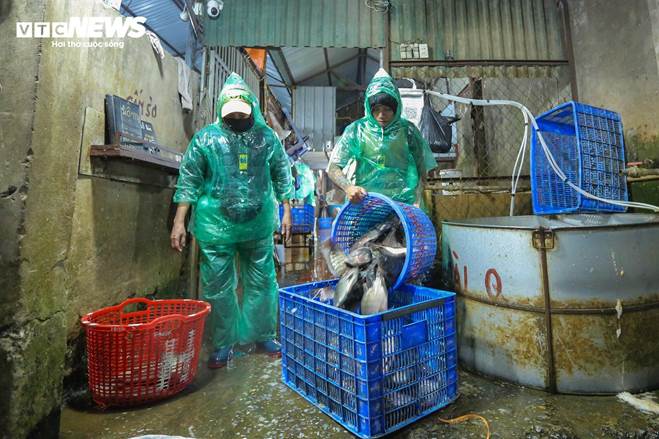 Những bàn tay khiêng đá, bắt cá mưu sinh trong giá rét 9 độ C ở Hà Nội-20