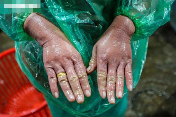 Nhiệt độ xuống -2 độ C, Hà Giang xuất hiện băng giá-4