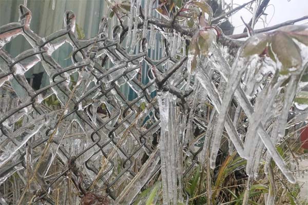 Nghi án chồng truy sát cả gia đình vợ khiến hai người tử vong-2