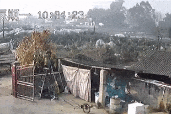 Muôn kiểu chống rét của người Hà Nội-1