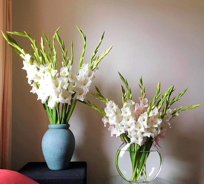 Cẩn thận các loại hoa trưng bày trong ngày Tết có thể gây dị ứng cho gia đình-2