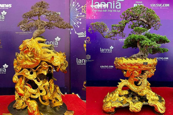 Mặt bằng bán hoa, cây cảnh Tết hiếm, có tiền cũng khó thuê-5