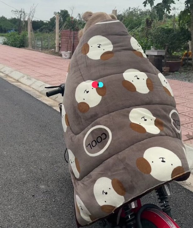 Ảnh thời trang chống rét bá đạo ngập mạng xã hội-10