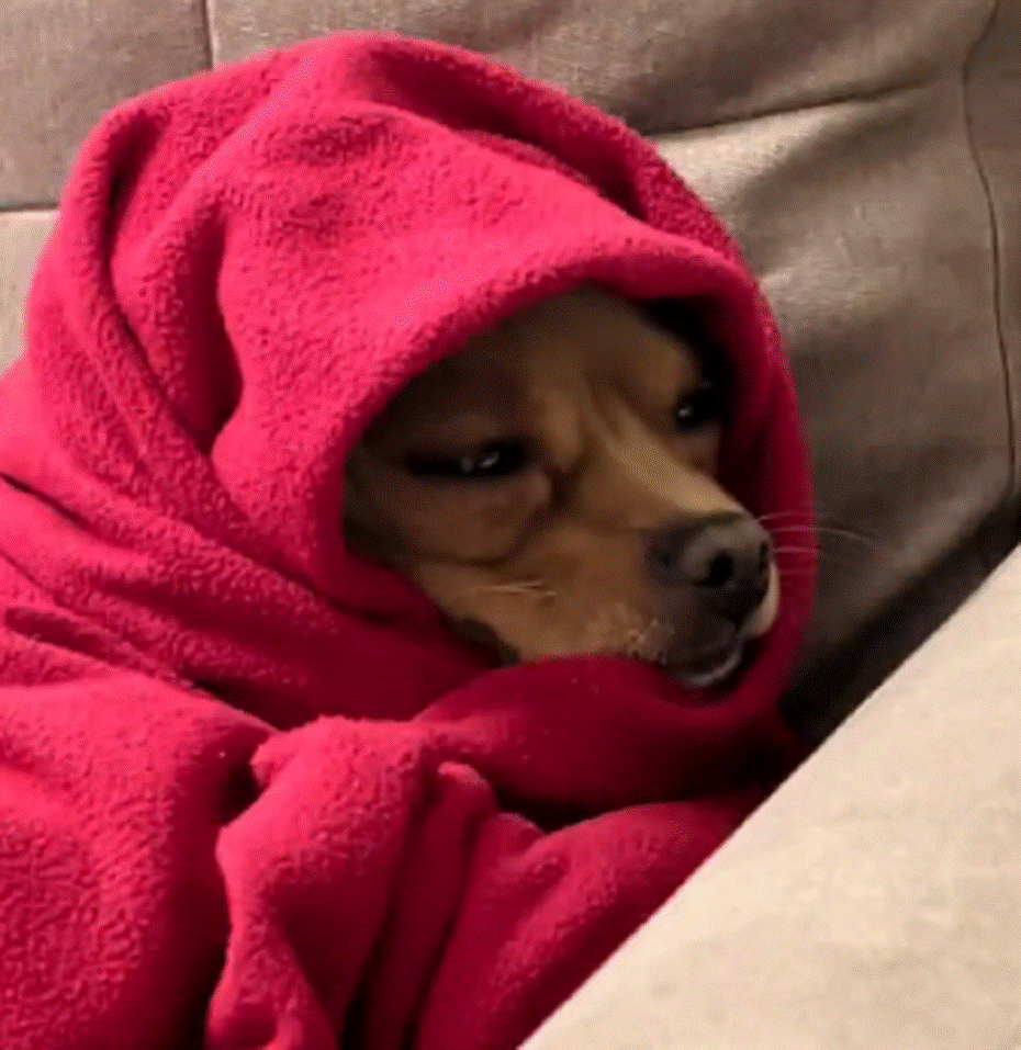 Ảnh thời trang chống rét bá đạo ngập mạng xã hội-11