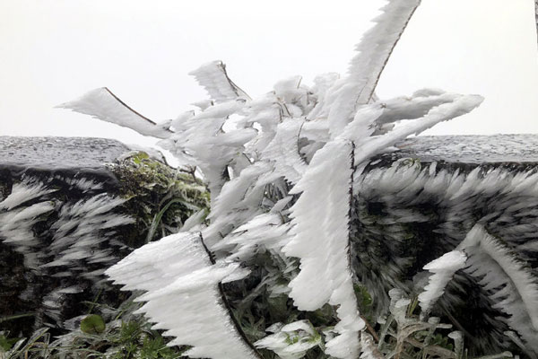 Trong tháng 2, đề phòng các đợt không khí lạnh có cường độ mạnh-2