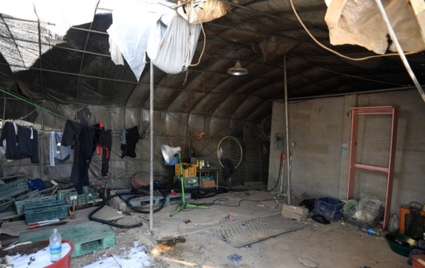 Góc khuất của người lao động nước ngoài tại Hàn Quốc: Sống tạm bợ trong nhà kính trồng cây, co ro chịu đựng thời tiết âm độ giá lạnh-2