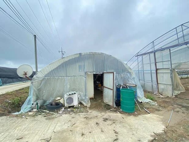 Góc khuất của người lao động nước ngoài tại Hàn Quốc: Sống tạm bợ trong nhà kính trồng cây, co ro chịu đựng thời tiết âm độ giá lạnh-3