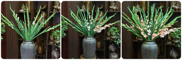 Loài hoa tượng trưng cho sự may mắn, ngày Tết nhà ai cũng có một bình để xua điềm xấu cho gia chủ-23