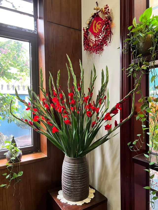 Loài hoa tượng trưng cho sự may mắn, ngày Tết nhà ai cũng có một bình để xua điềm xấu cho gia chủ-1