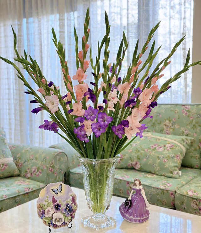 Loài hoa tượng trưng cho sự may mắn, ngày Tết nhà ai cũng có một bình để xua điềm xấu cho gia chủ-14