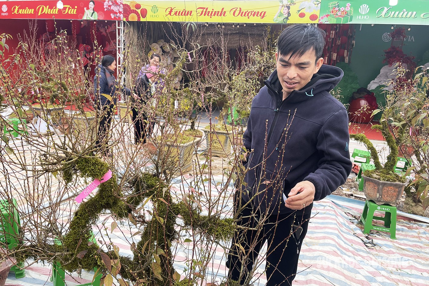 Nhất chi mai dáng rồng bay giá hàng chục triệu vẫn đắt khách-4