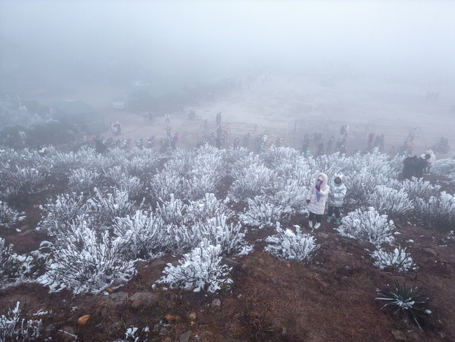 Giới trẻ vượt hàng trăm kilomet, mặc 5 lớp áo đi săn băng tuyết ở Mẫu Sơn-4