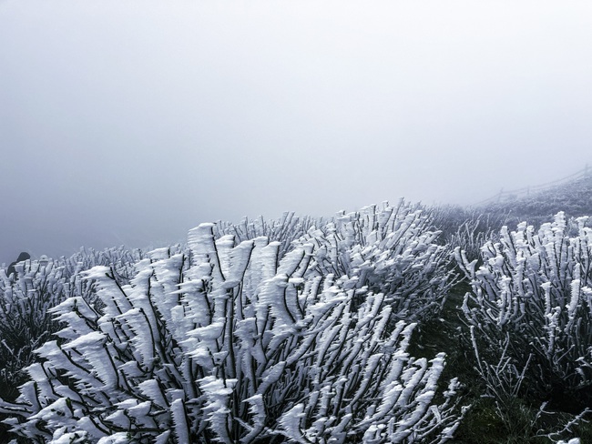 Giới trẻ vượt hàng trăm kilomet, mặc 5 lớp áo đi săn băng tuyết ở Mẫu Sơn-12