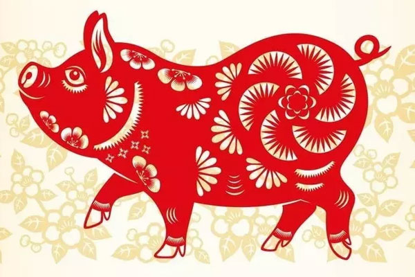 Tử vi tuổi Hợi năm 2024-1