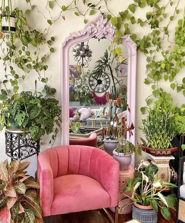 Tết Nguyên đán 2024 sắp đến, trồng cây cảnh theo cách này để xua đuổi xui xẻo, mang lại tài lộc-3