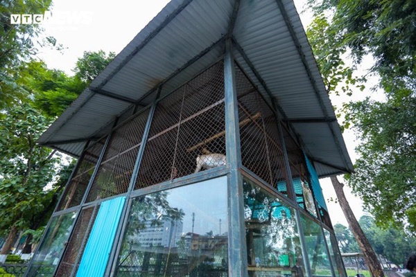 Vườn thú Hà Nội nói gì trước thông tin khỉ gầy trơ xương, chịu rét 10 độ C?-3