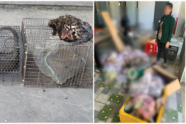 Xong những bữa tiệc tất niên, tài xế say xỉn mất quyền lái ô tô chơi Tết-5