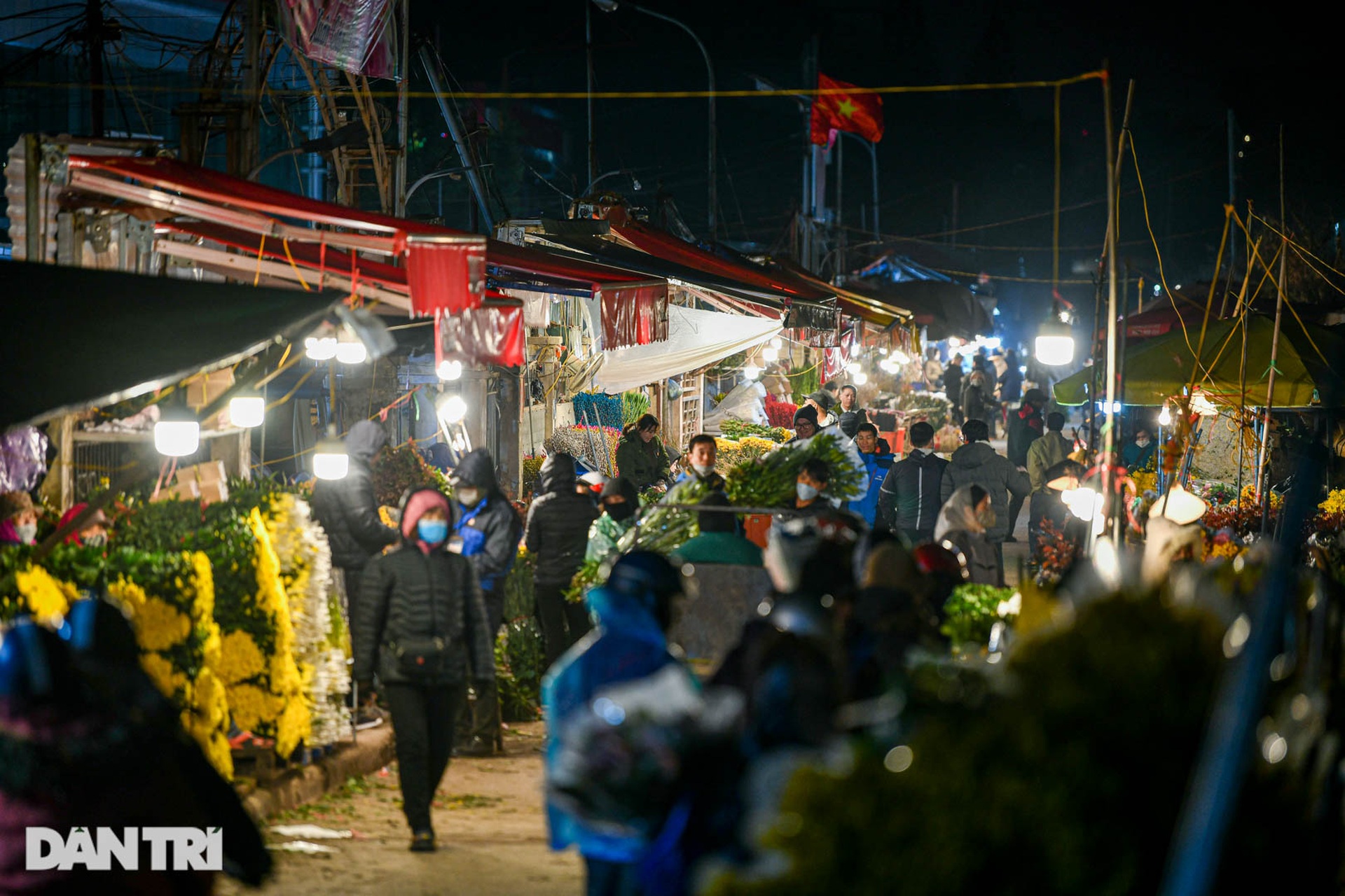 Chợ hoa lớn nhất ở Hà Nội họp xuyên đêm trong giá lạnh dưới 10 độ C-1