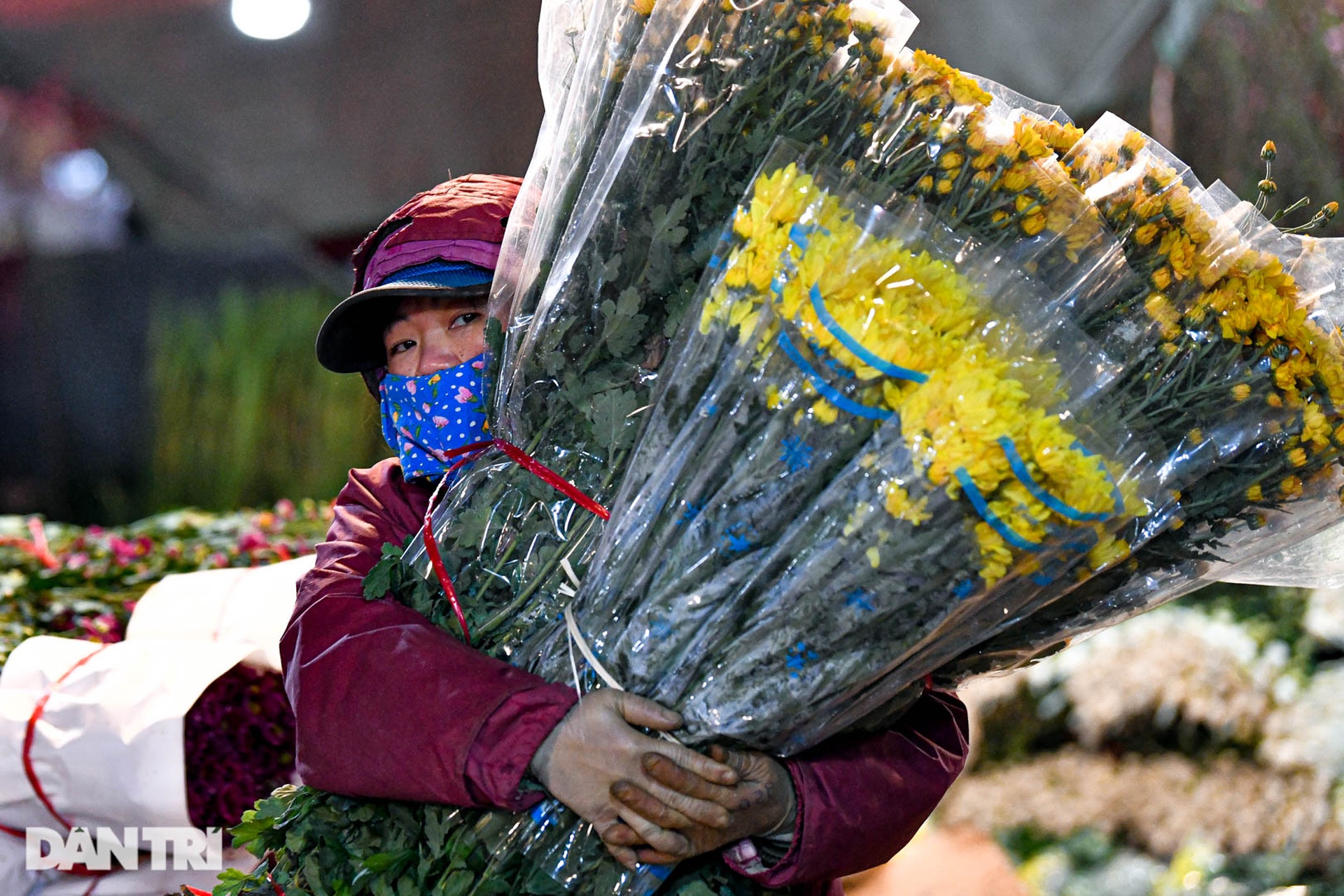 Chợ hoa lớn nhất ở Hà Nội họp xuyên đêm trong giá lạnh dưới 10 độ C-2