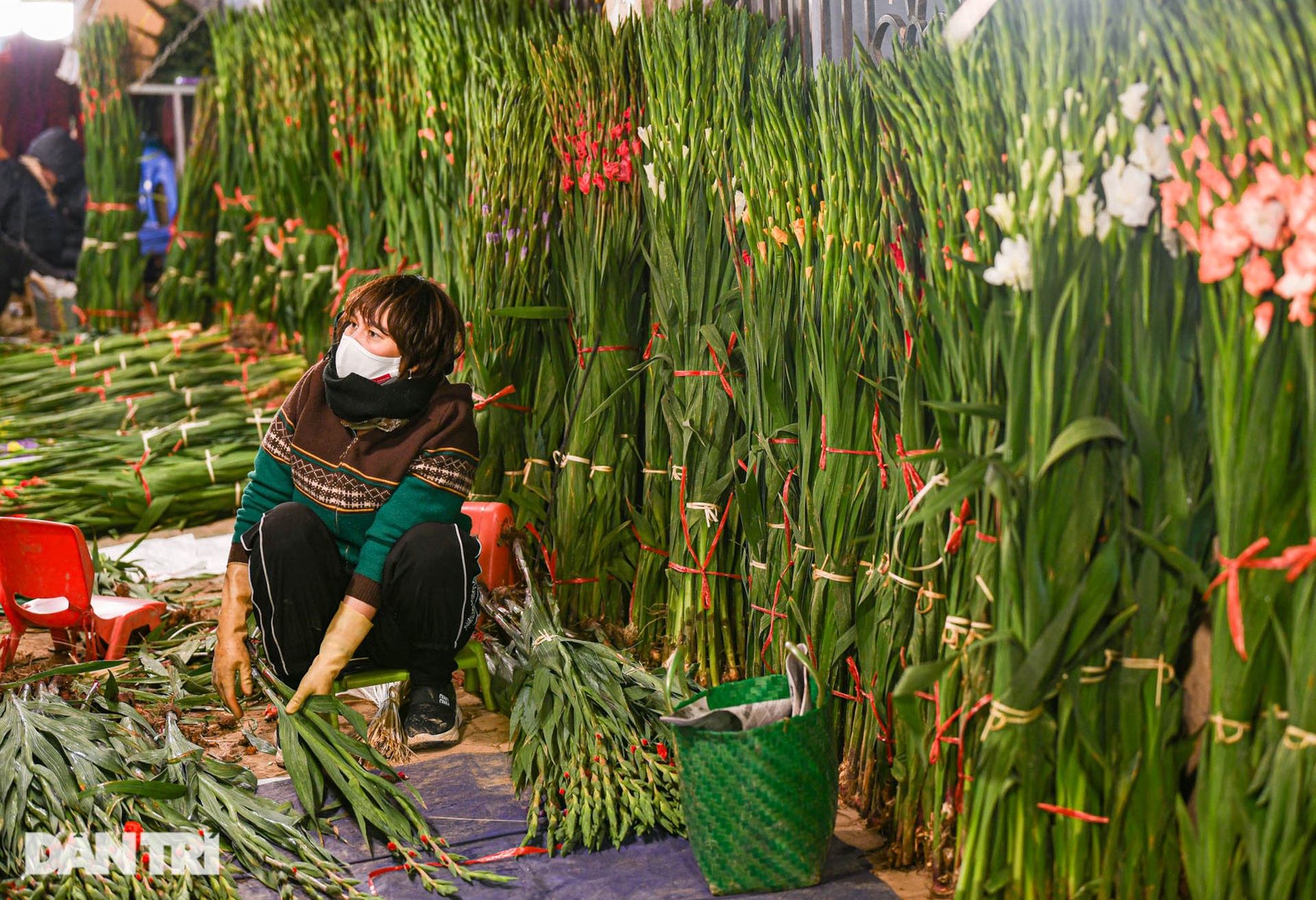 Chợ hoa lớn nhất ở Hà Nội họp xuyên đêm trong giá lạnh dưới 10 độ C-3