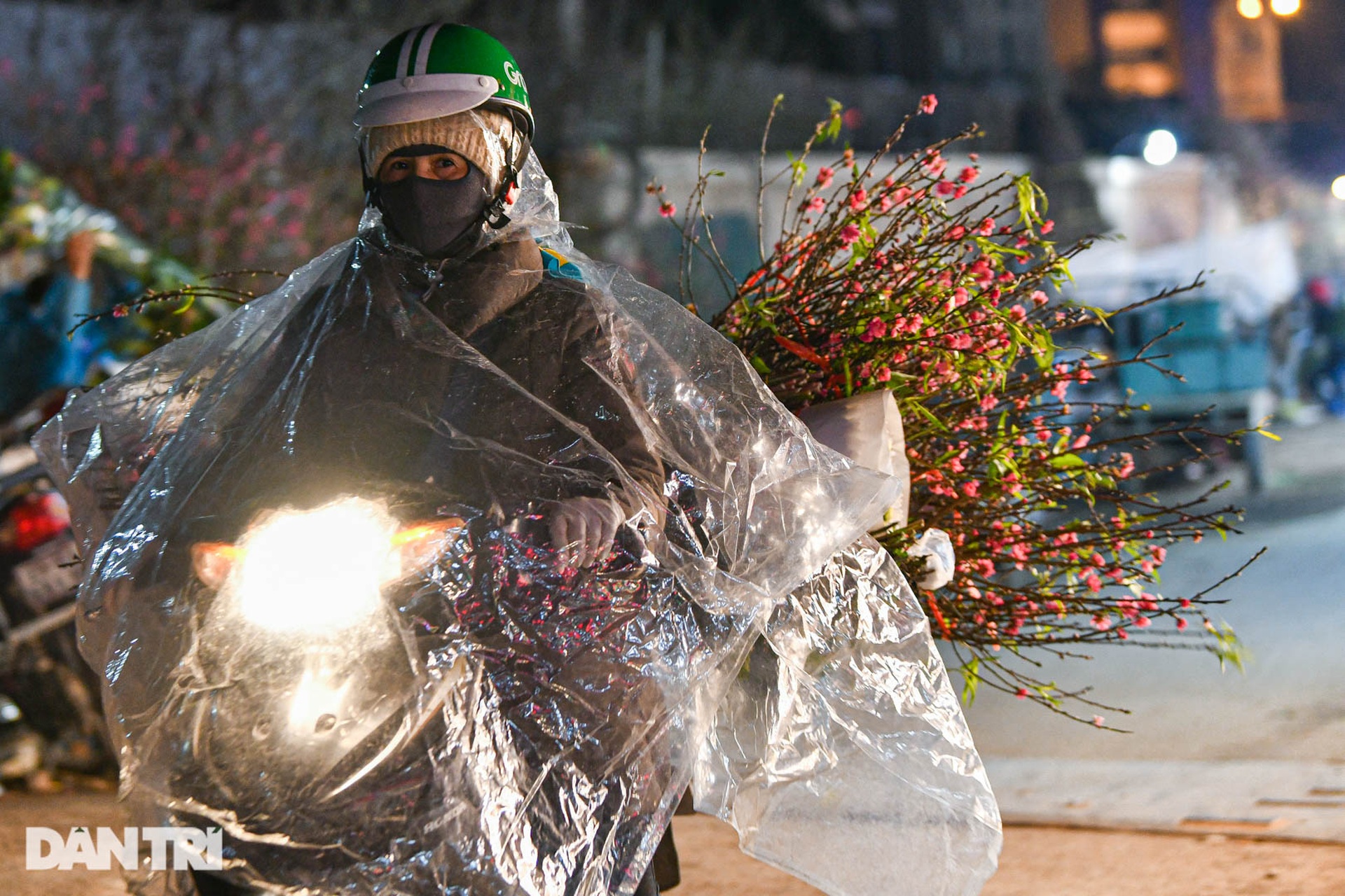 Chợ hoa lớn nhất ở Hà Nội họp xuyên đêm trong giá lạnh dưới 10 độ C-4