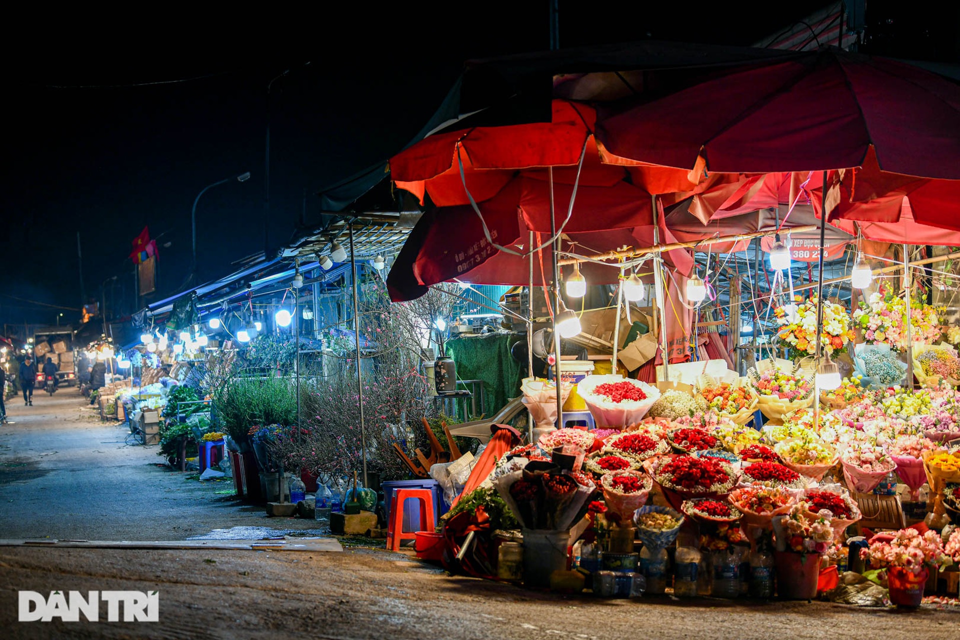 Chợ hoa lớn nhất ở Hà Nội họp xuyên đêm trong giá lạnh dưới 10 độ C-5