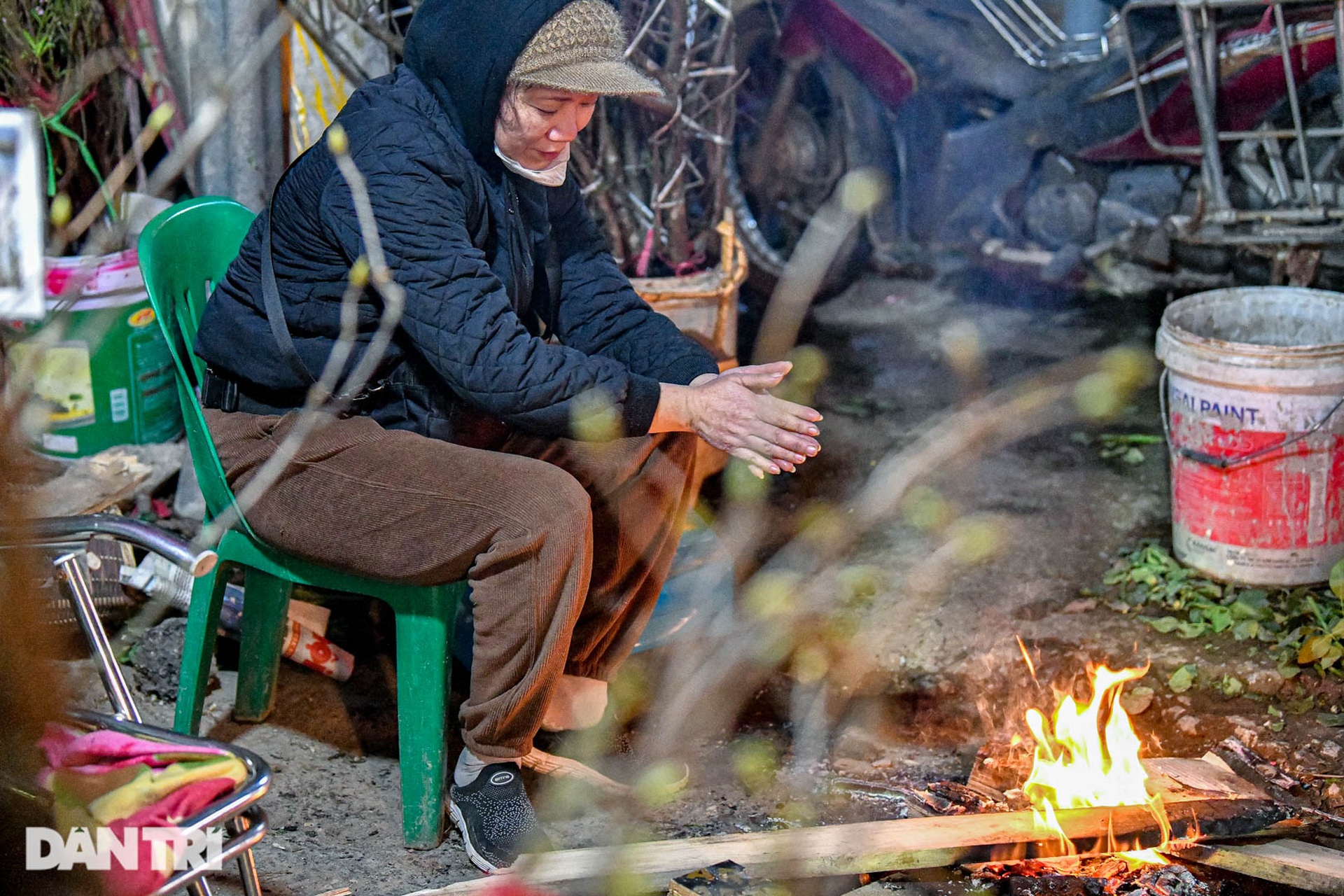 Chợ hoa lớn nhất ở Hà Nội họp xuyên đêm trong giá lạnh dưới 10 độ C-7