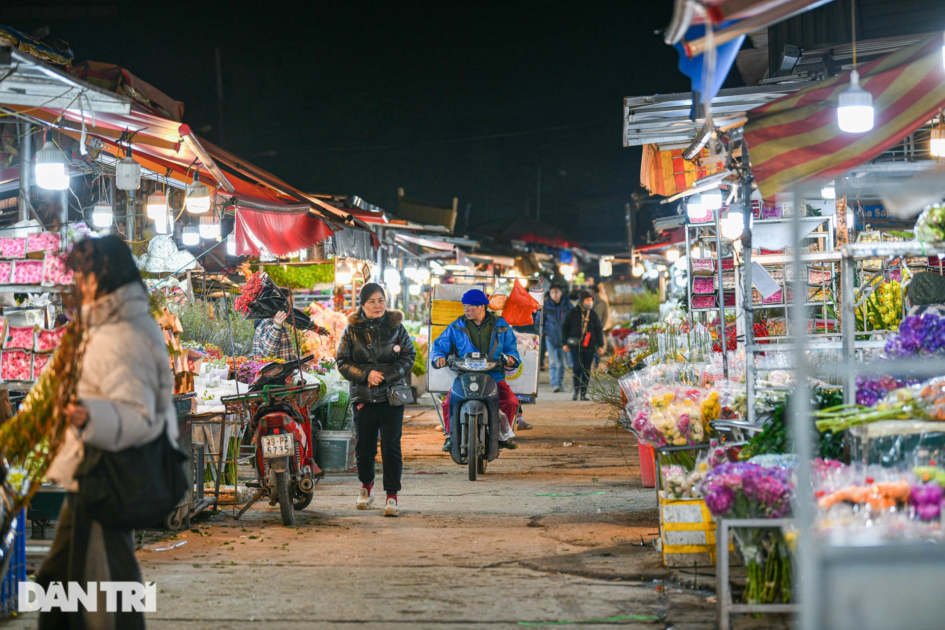 Chợ hoa lớn nhất ở Hà Nội họp xuyên đêm trong giá lạnh dưới 10 độ C-8