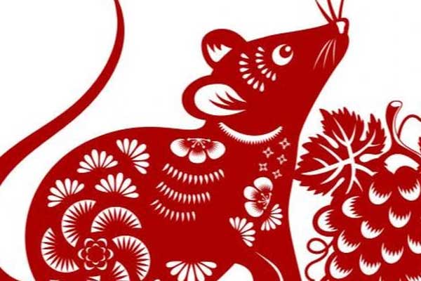 Tử vi tuổi Tý năm 2024: Cơ hội lớn trong sự nghiệp, tiền bạc rủng rỉnh-1