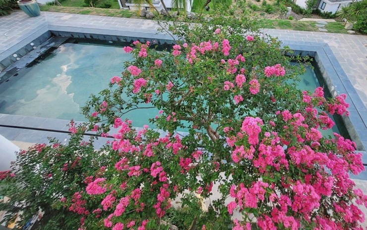 Mạnh Trường - nam chính Chúng ta của 8 năm sau tậu cơ ngơi khủng dịp cận Tết Nguyên Đán-5