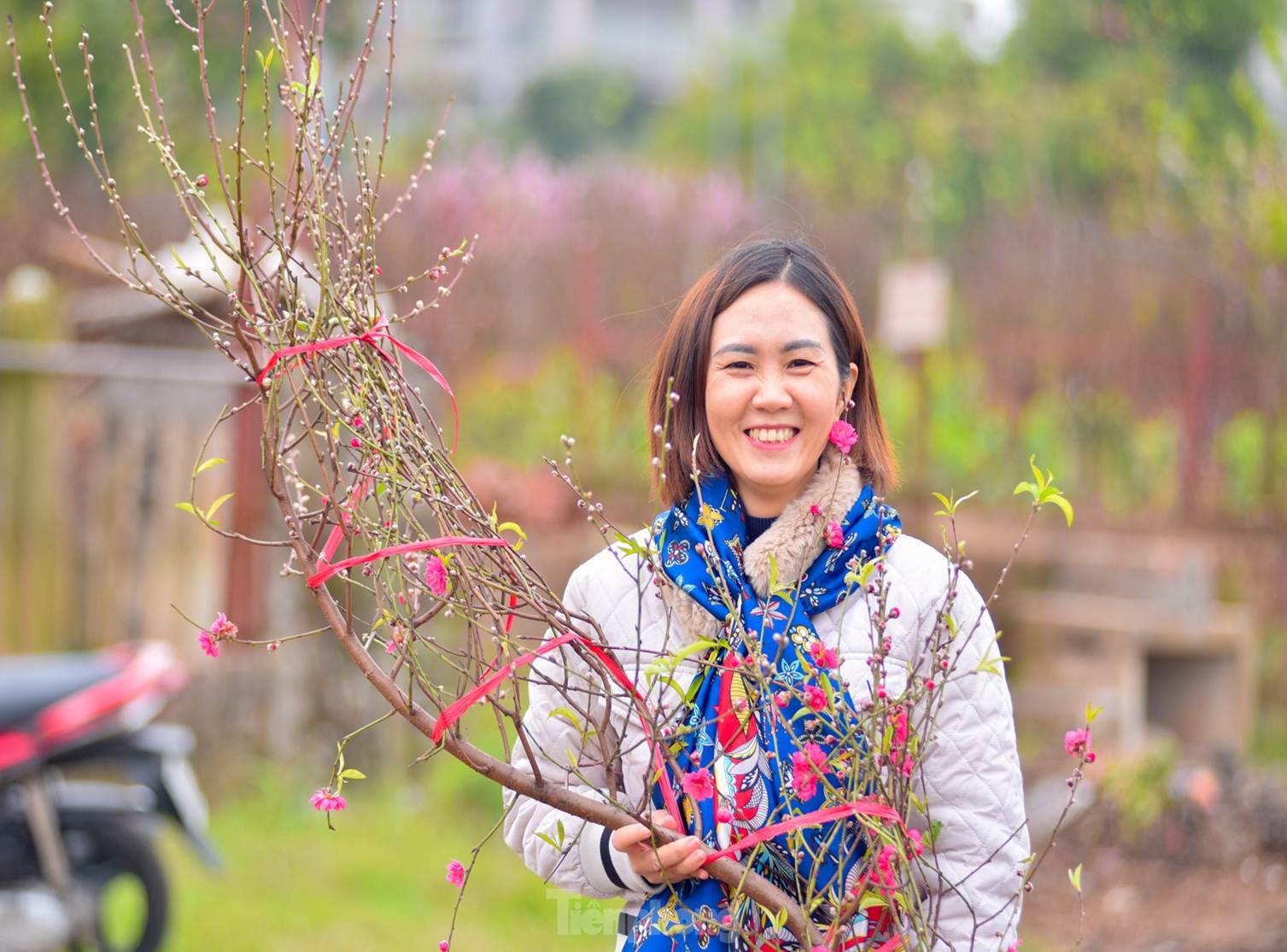 Đào huyền Nhật Tân giá tiền triệu hút khách dịp Tết Giáp Thìn-4