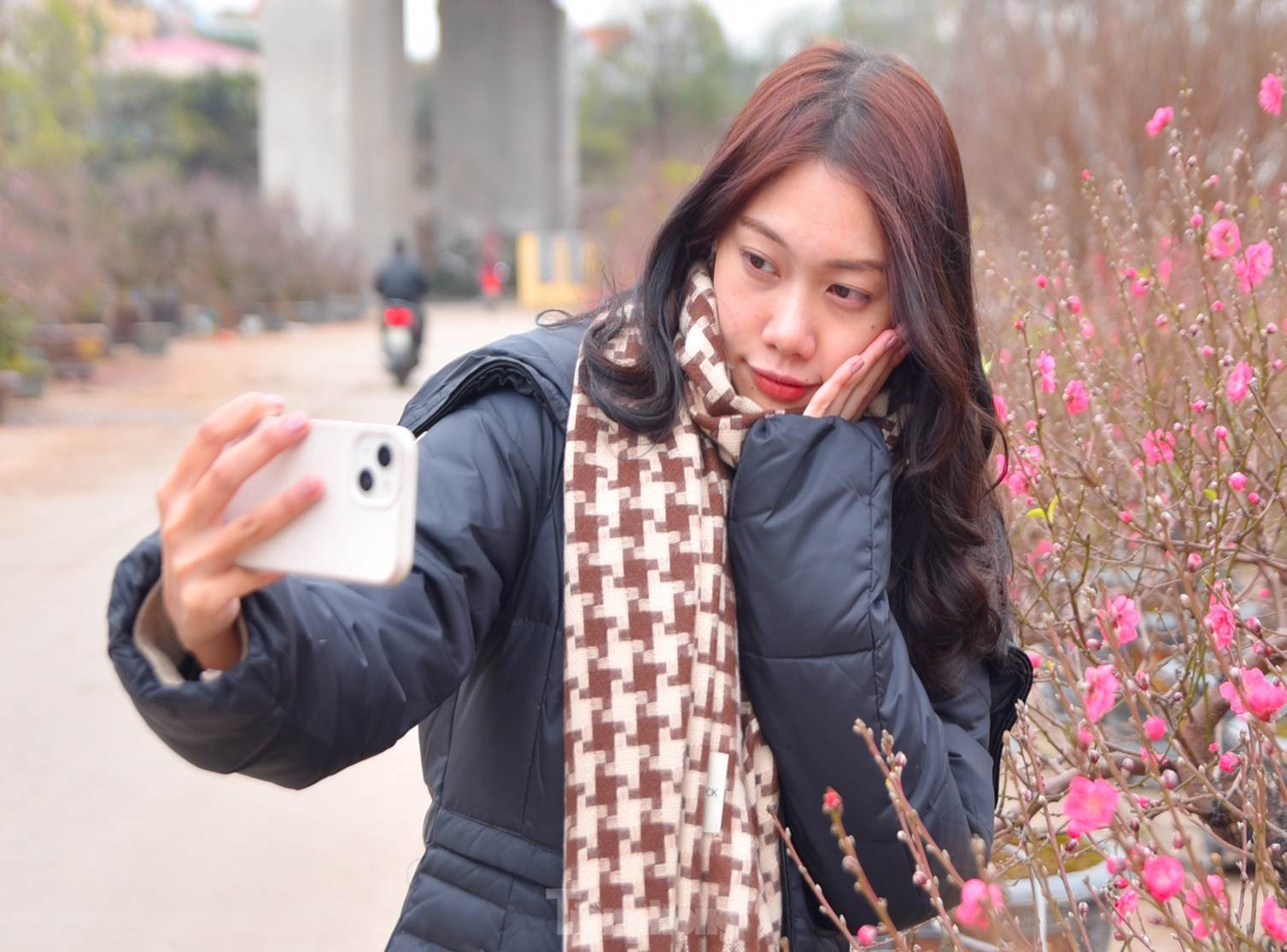 Đào huyền Nhật Tân giá tiền triệu hút khách dịp Tết Giáp Thìn-10