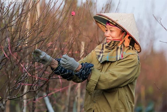 Miền Bắc kết thúc đợt rét đậm rét hại diện rộng, nhiệt độ cao nhất 21 độ C