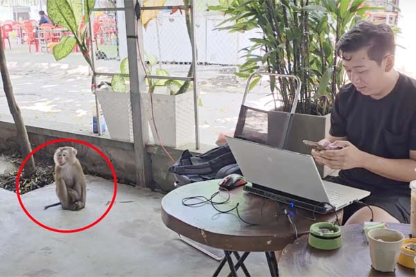 Khởi tố nguyên Tổng giám đốc FLC và 21 người giúp ông Trịnh Văn Quyết lừa đảo-2