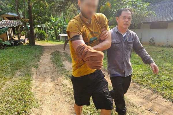 Bị gấu truy đuổi, người phụ nữ 31 tuổi chết thương tâm-2