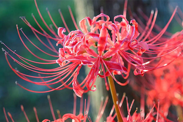 Rủ nhau ngủ 5 ngày 5 đêm ở TP.HCM nhưng có người quay xe phút chót-4