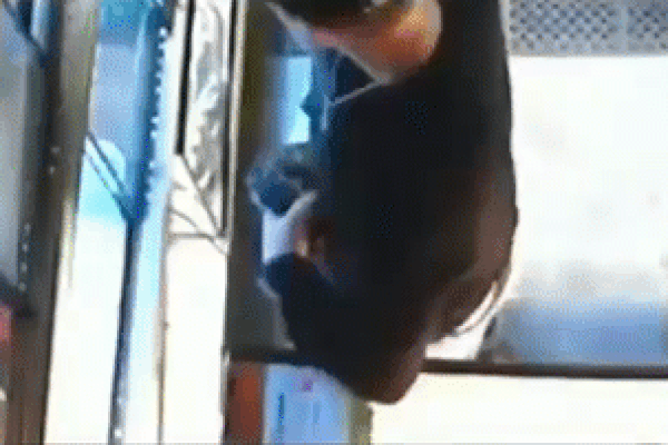 Thấy vật lạ treo trên cây, người đàn ông lại gần thì bắt gặp cảnh đáng sợ-1