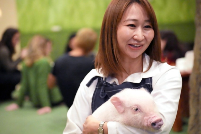 Trào lưu mới vô cùng sang chảnh ở các quán cà phê thời thượng Nhật Bản: Vừa uống cà phê vừa ôm lợn, phản ứng của khách gây ngỡ ngàng-8