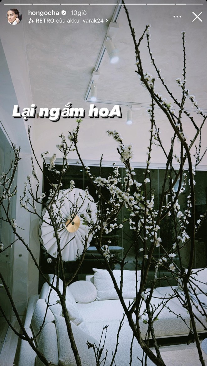 Biệt thự 30 tỷ của Hồ Ngọc Hà trang hoàng lộng lẫy đón Tết-5